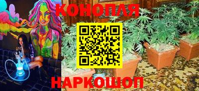 спиды Моздок